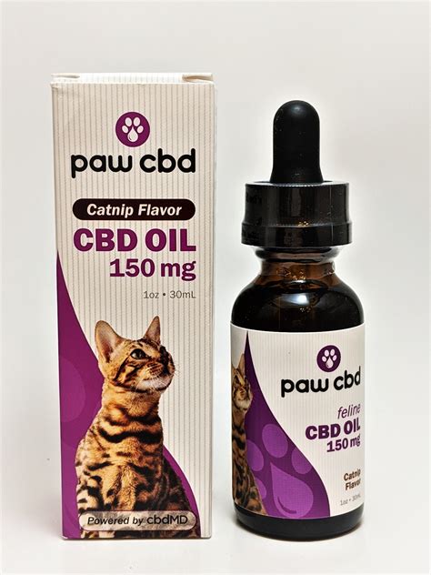 Cbd Central Pets Paw Cbd Cat Oil 150 Mg Catnip