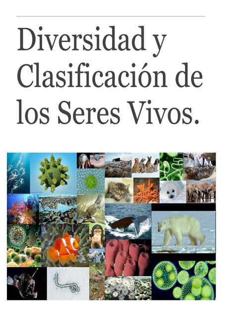 Calaméo Diversidad Y Clasificacion De Los Seres Vivos