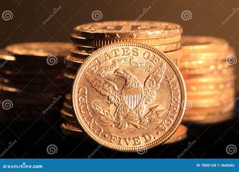 Gold Coins Stock Photo Image Of Deposit Macro Business 7880108