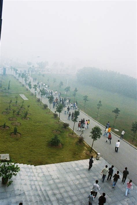 Early Foggy Morning Students Going To Their Class Foggy Morning