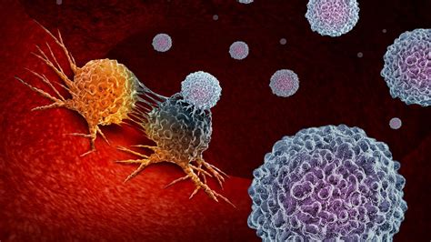 A New Therapeutic Target Turns The Immune System Against Lymphoma Epfl
