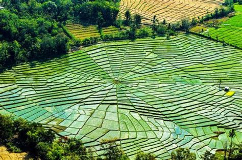 5 Wisata Ladang Sawah Terindah Di Indonesia Bikin Hati Adem
