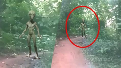 Alien Or Ghost Unnatural Ghost Like Creature Caught On Camera Youtube