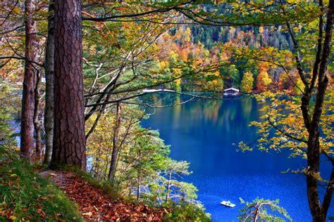 Nature Lakes Trees Forest Leaves Water Reflection Autumn Fall
