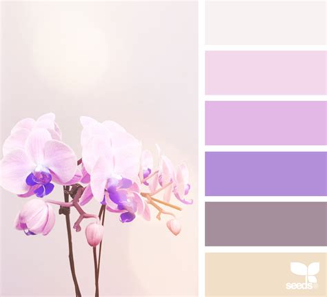 Orchid Hues With Images Seeds Color Palette Seeds Color Orchid Color