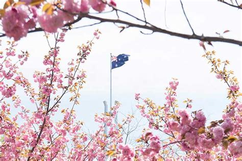 14 Ways To Celebrate Spring In Canberra Hercanberra