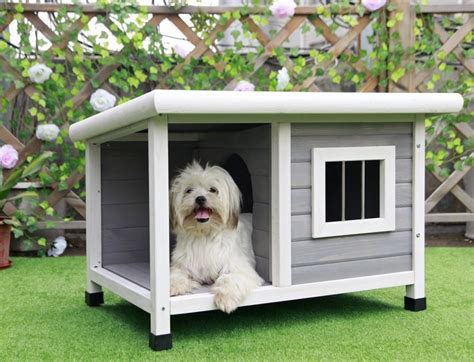 How To Choose The Best Insulated Dog House To Keep Your Dog Warm Your
