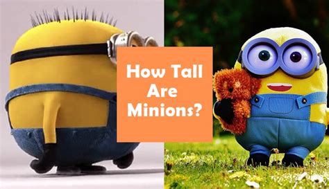 How Tall Are The Minions From Despicable Me