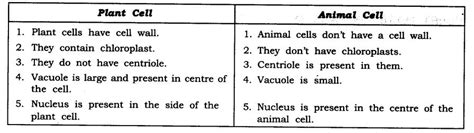 Aim to identify parenchyma and sclerenchyma tissues in plants, striated muscle fibres and nerve cells in animals, from prepared (permanent) slides and to theory tissues: NCERT Solutions For Class 9 Science Chapter 5 The ...