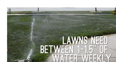 A new lawn, whether seeded or sodded, needs attentive watering to give it that said, most lawn grasses grow best when the top 6 to 8 inches of soil is moist. HOW OFTEN SHOULD I WATER MY LAWN? - Elkhart Irrigation