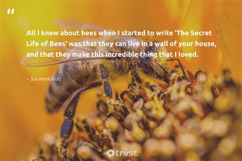 89 Bee Quotes And Inspirational Bee Sayings