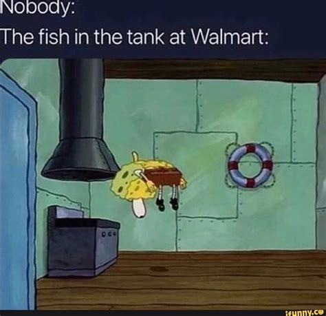 Nobody The Fish In The Tank At Walmart Ifunny Spongebob Memes