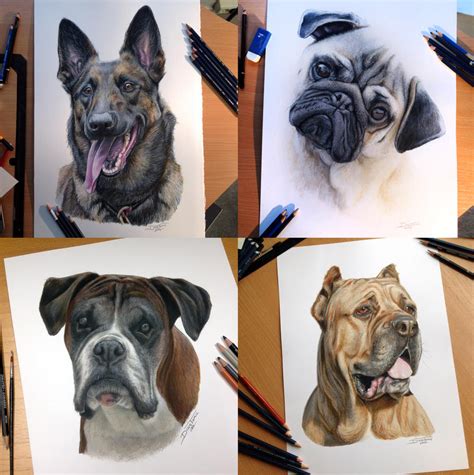 Few Dog Color Pencil Portraits By Atomiccircus On Deviantart