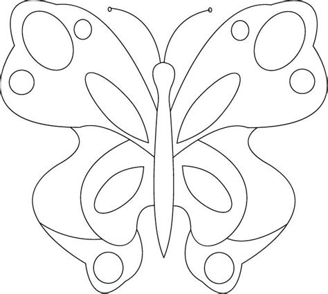shawkl  butterfly pattern