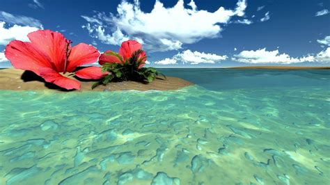 Hibiscus 1920x1080 Hd Wallpapers Top Free Hibiscus 1920x1080 Hd