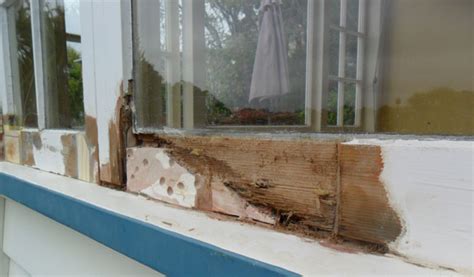 Repair Care Repairing Rot In Wooden Window Frames