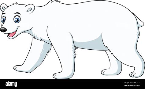 Lindo Oso Polar Ilustración De Vectores De Dibujos Animados Imagen