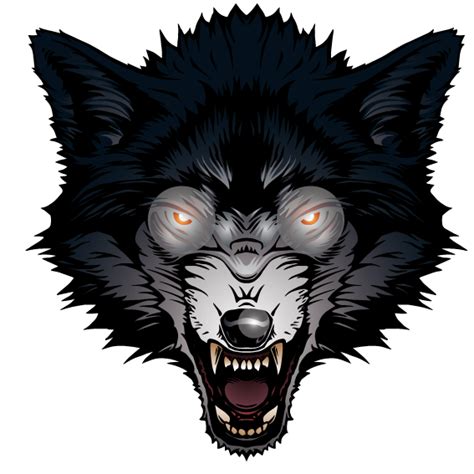 Gray Wolf Big Bad Wolf Ferocious Wolf Png Download 567567 Free