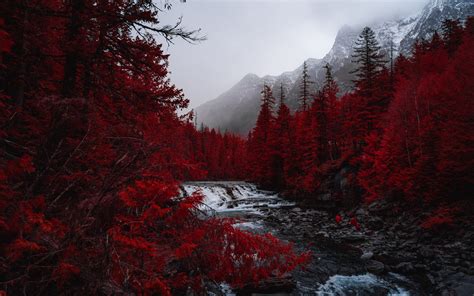 Download Wallpaper 3840x2400 River Trees Red Mountains Fog Landscape 4k Ultra Hd 1610 Hd