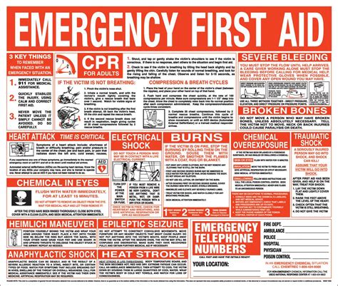 Refreshing Printable First Aid Guide Roy Blog