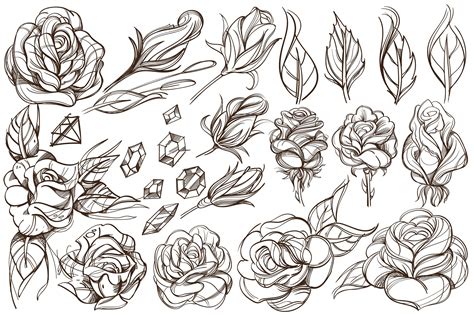 Roses outline sketches | Roses outline, Outline sketches, Sketches