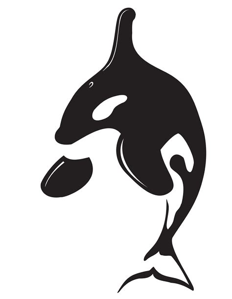 The general quality or character of something. Travis Alexander BFA: 06 Orca Gestalt