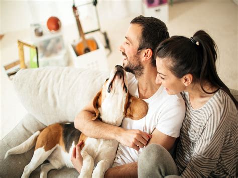 Pets and Apartments: How to make it work - realestate.com.au