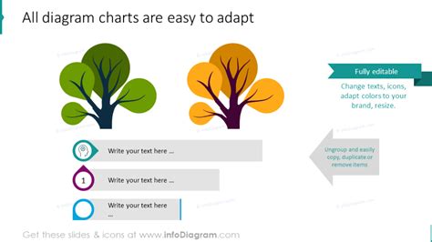 Modern Tree Diagram Powerpoint Template For Branch Infographics And