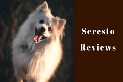 We did not find results for: The Best Seresto Reviews (Effectiveness And Side Effects)