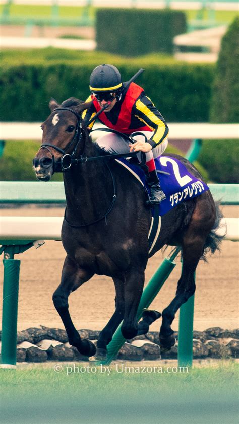 これらの映画に描かれる夏は、ランダムな背景設定などではない。 このウェブサイトはクッキーを使用している。 詳細は こちらを クリックしてください。 【競馬壁紙】グランアレグリア｜パソコン(PC)・スマホ(iPhoneXS/XR ...