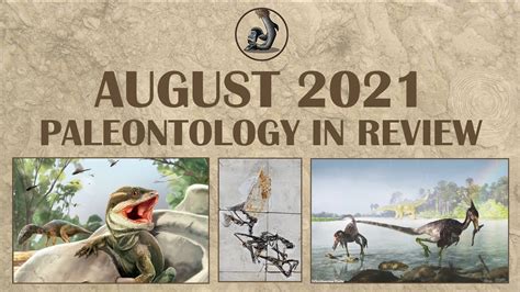 New Fossils And Paleontology August 2021 Youtube