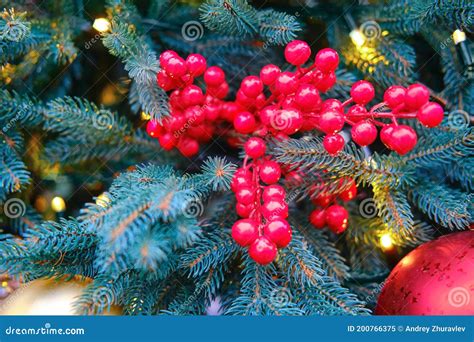 A Red Mistletoe Branch And A Ball Hang As Decorations On A Christmas