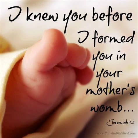 I Formed You In Your Mothers Womb Jeremiah 15 Christin Ditchfield