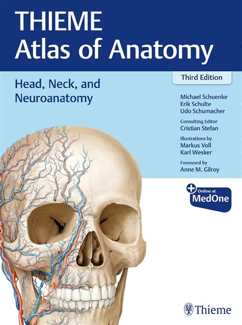 Head Neck And Neuroanatomy Thieme Atlas Of Anatomy E Book