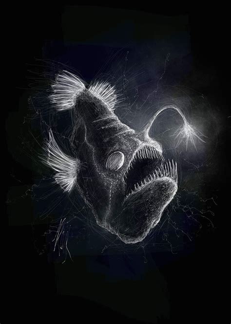 Anglerfish Wallpapers Top Free Anglerfish Backgrounds Wallpaperaccess