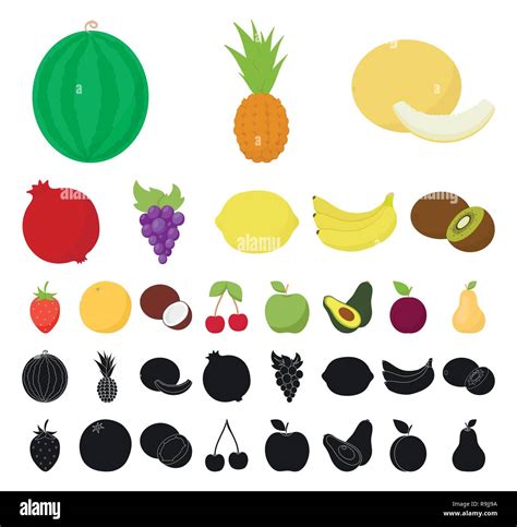 Melon Variety Stock Vector Images Alamy