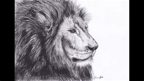 Drawing lessons, wild and domestic animals. How to Draw Animals Ep. 1 - Lion - YouTube
