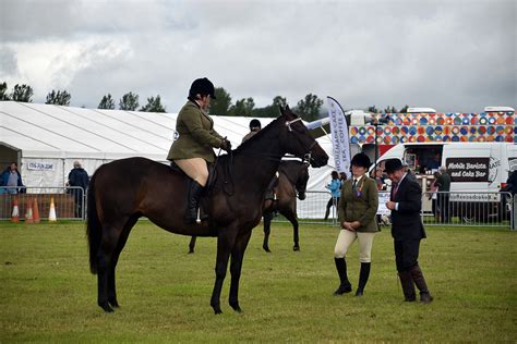 Horses 049 Kirriemuir Agricultural Show 2019 John Mullin Flickr