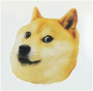 The shiba inu is a japanese breed of dog that was popularized as an online meme and represents dogecoin. DOGE Adesivi Decalcomanie 10x10cm MEME fantastico tali WOW ...