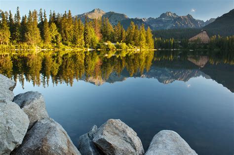 Nature Landscape Trees Forest Slovakia Tatra Mountains Stones