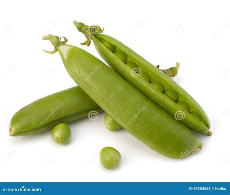 Fresh Green Pea Pod Stock Photo Image Of Fresh Macro 34283658