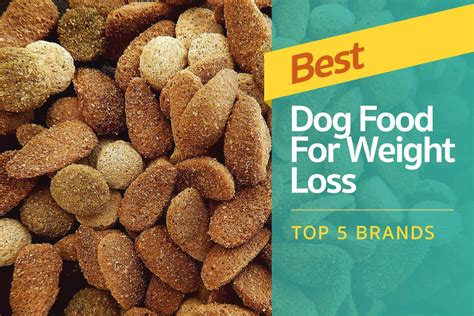 The best weight management dog food should include chicken, beef, turkey, pork, sardines, sweet potatoes, potatoes, pumpkins, carrots, broccoli, lettuce there are specific weight management dog foods available. Best Dog Food For Weight Loss: Top 5 Brands