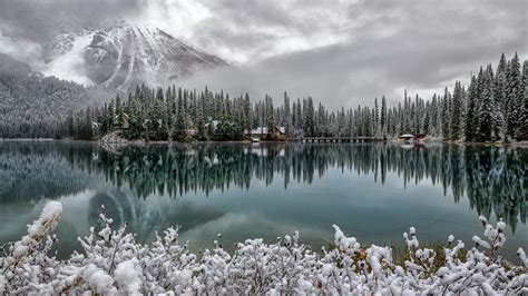 Download Wallpaper Forest Snow Mountains Lake Reflection Canada