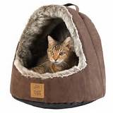 Pictures of Cat Beds On Sale