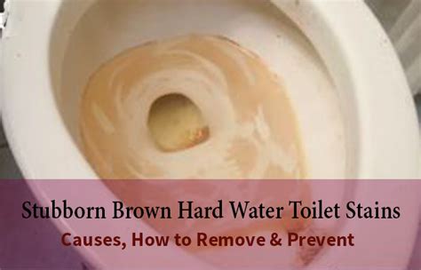 How To Remove Stubborn Hard Water Brown Stains From Toilet Bowls Rings