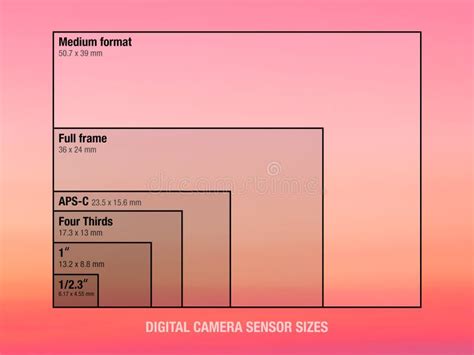 Digital Camera Sensor Sizes Comparison Stock Illustration