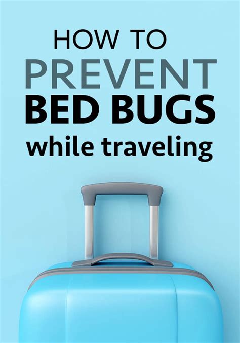 How To Prevent Bed Bugs While Traveling Five Spot Green Living