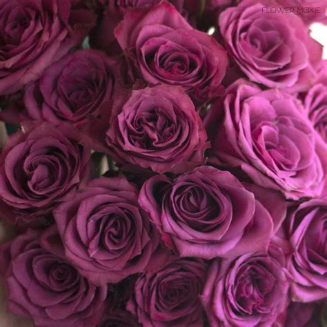 Deep Purple Blueberry Roses Flower Bouquet Wedding Wedding Palette