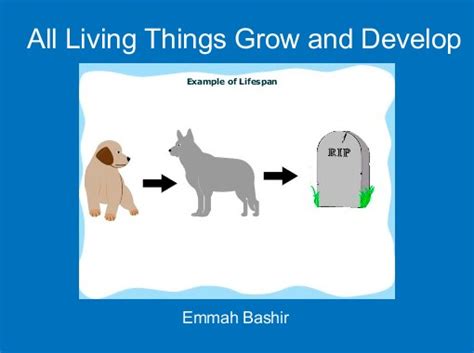 All Living Things Grow And Develop Free Books And Childrens Stories