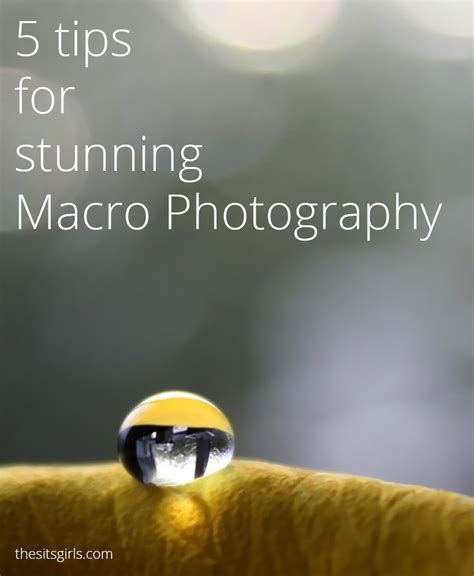 5 Tips For Stunning Macro Photography Photography Tools